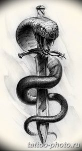 Фото рисунка тату змея 23.11.2018 №414 - snake tattoo photo - tattoo-photo.ru