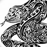 Фото рисунка тату змея 23.11.2018 №416 - snake tattoo photo - tattoo-photo.ru