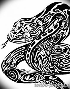 Фото рисунка тату змея 23.11.2018 №416 - snake tattoo photo - tattoo-photo.ru