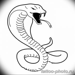 Фото рисунка тату змея 23.11.2018 №420 - snake tattoo photo - tattoo-photo.ru