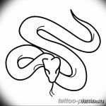 Фото рисунка тату змея 23.11.2018 №424 - snake tattoo photo - tattoo-photo.ru