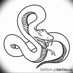 Фото рисунка тату змея 23.11.2018 №425 - snake tattoo photo - tattoo-photo.ru
