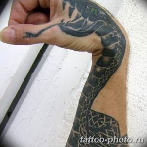 Фото рисунка тату змея 23.11.2018 №426 - snake tattoo photo - tattoo-photo.ru