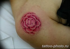 Фото рисунка тату камелия 24.11.2018 №004 - photo tattoo camellia - tattoo-photo.ru