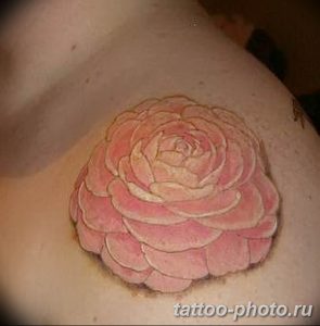 Фото рисунка тату камелия 24.11.2018 №005 - photo tattoo camellia - tattoo-photo.ru
