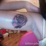 Фото рисунка тату камелия 24.11.2018 №007 - photo tattoo camellia - tattoo-photo.ru