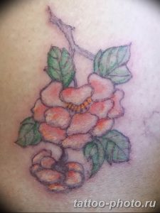 Фото рисунка тату камелия 24.11.2018 №019 - photo tattoo camellia - tattoo-photo.ru