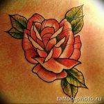 Фото рисунка тату камелия 24.11.2018 №022 - photo tattoo camellia - tattoo-photo.ru