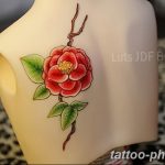 Фото рисунка тату камелия 24.11.2018 №025 - photo tattoo camellia - tattoo-photo.ru