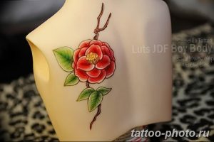 Фото рисунка тату камелия 24.11.2018 №025 - photo tattoo camellia - tattoo-photo.ru
