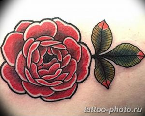 Фото рисунка тату камелия 24.11.2018 №028 - photo tattoo camellia - tattoo-photo.ru
