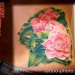 Фото рисунка тату камелия 24.11.2018 №030 - photo tattoo camellia - tattoo-photo.ru