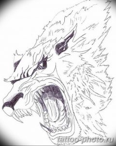 Фото рисунка тату оборотень 24.11.2018 №024 - photo tattoo werewolf - tattoo-photo.ru