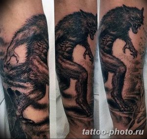 Фото рисунка тату оборотень 24.11.2018 №028 - photo tattoo werewolf - tattoo-photo.ru