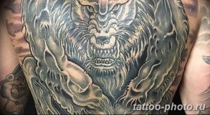 Фото рисунка тату оборотень 24.11.2018 №039 - photo tattoo werewolf - tattoo-photo.ru
