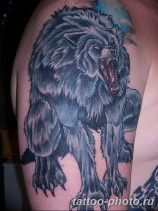 Фото рисунка тату оборотень 24.11.2018 №049 - photo tattoo werewolf - tattoo-photo.ru
