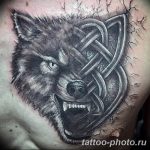 Фото рисунка тату оборотень 24.11.2018 №054 - photo tattoo werewolf - tattoo-photo.ru