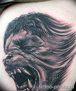Фото рисунка тату оборотень 24.11.2018 №057 - photo tattoo werewolf - tattoo-photo.ru