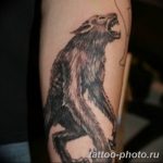 Фото рисунка тату оборотень 24.11.2018 №064 - photo tattoo werewolf - tattoo-photo.ru