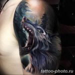 Фото рисунка тату оборотень 24.11.2018 №069 - photo tattoo werewolf - tattoo-photo.ru