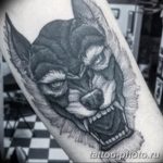 Фото рисунка тату оборотень 24.11.2018 №082 - photo tattoo werewolf - tattoo-photo.ru