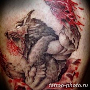 Фото рисунка тату оборотень 24.11.2018 №089 - photo tattoo werewolf - tattoo-photo.ru