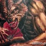 Фото рисунка тату оборотень 24.11.2018 №090 - photo tattoo werewolf - tattoo-photo.ru