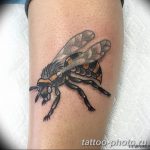 Фото рисунка тату оса 06.11.2018 №003 - photo tattoo wasp - tattoo-photo.ru