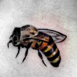 Фото рисунка тату оса 06.11.2018 №006 - photo tattoo wasp - tattoo-photo.ru