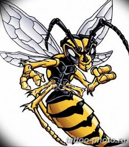 Fancy Wasp Cartoon Character pix for angry bee bee wasp hornet p