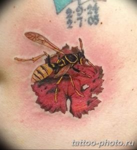 Фото рисунка тату оса 06.11.2018 №031 - photo tattoo wasp - tattoo-photo.ru