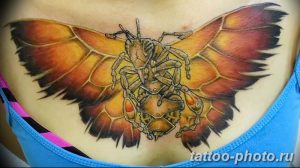 Фото рисунка тату оса 06.11.2018 №032 - photo tattoo wasp - tattoo-photo.ru