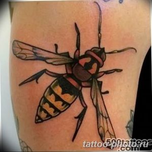 Фото рисунка тату оса 06.11.2018 №043 - photo tattoo wasp - tattoo-photo.ru