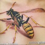 Фото рисунка тату оса 06.11.2018 №049 - photo tattoo wasp - tattoo-photo.ru