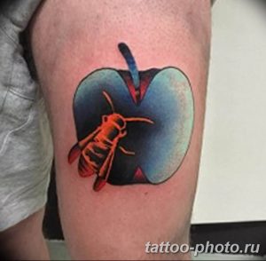 Фото рисунка тату оса 06.11.2018 №059 - photo tattoo wasp - tattoo-photo.ru