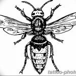 Фото рисунка тату оса 06.11.2018 №068 - photo tattoo wasp - tattoo-photo.ru