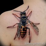 Фото рисунка тату оса 06.11.2018 №105 - photo tattoo wasp - tattoo-photo.ru