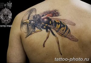 Фото рисунка тату оса 06.11.2018 №115 - photo tattoo wasp - tattoo-photo.ru
