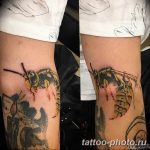 Фото рисунка тату оса 06.11.2018 №116 - photo tattoo wasp - tattoo-photo.ru