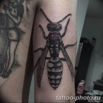 Фото рисунка тату оса 06.11.2018 №122 - photo tattoo wasp - tattoo-photo.ru