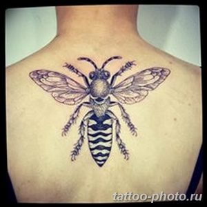 Фото рисунка тату оса 06.11.2018 №123 - photo tattoo wasp - tattoo-photo.ru