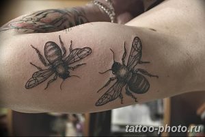 Фото рисунка тату оса 06.11.2018 №141 - photo tattoo wasp - tattoo-photo.ru