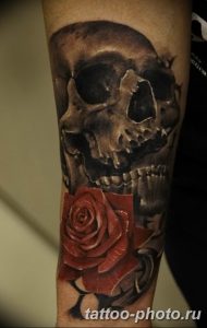 Фото рисунка тату череп 24.11.2018 №012 - photo tattoo skull - tattoo-photo.ru
