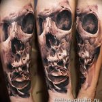 Фото рисунка тату череп 24.11.2018 №171 - photo tattoo skull - tattoo-photo.ru