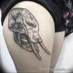 Фото рисунка тату череп 24.11.2018 №176 - photo tattoo skull - tattoo-photo.ru