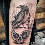 Фото рисунка тату череп 24.11.2018 №276 - photo tattoo skull - tattoo-photo.ru