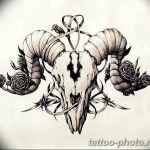 Фото рисунка тату череп 24.11.2018 №341 - photo tattoo skull - tattoo-photo.ru