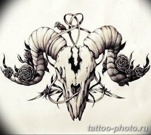 Фото рисунка тату череп 24.11.2018 №341 - photo tattoo skull - tattoo-photo.ru