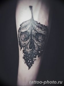Фото рисунка тату череп 24.11.2018 №372 - photo tattoo skull - tattoo-photo.ru