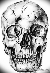 Фото рисунка тату череп 24.11.2018 №393 - photo tattoo skull - tattoo-photo.ru